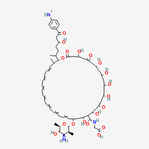 molecular formula C62H91N3O19 B1231380 2-[[22-[(3S,4R,5S,6R)-4-amino-5-hydroxy-3,6-dimethyloxan-2-yl]oxy-4,8,10,12,14,18,20-heptahydroxy-38-[5-hydroxy-7-[4-(methylamino)phenyl]-7-oxoheptan-2-yl]-37-methyl-2,6,16-trioxo-1-oxacyclooctatriaconta-23,25,27,29,31,33,35-heptaene-19-carbonyl]amino]acetic acid 