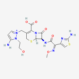 molecular formula C19H23N8O6S2+ B1231387 5-氨基-1-(2-羟乙基)-2-[[(6R,7R)-7-[[2-(2-氨基噻唑-4-基)-2-(甲氧基亚氨基)乙酰]氨基]-2-羧基-8-氧代-5-硫杂-1-氮杂双环[4.2.0]辛-2-烯-3-基]甲基]-1H-吡唑-2-鎓 