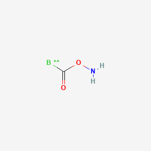 molecular formula CH2BNO2 B1231393 Monoaminocarboxydihydroborane CAS No. 98169-69-8