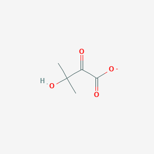 molecular formula C5H7O4- B1231396 3-Hydroxy-3-methyl-2-oxobutanoate 
