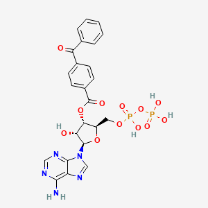 B1231460 3'-O-(4-Benzoyl)benzoyladenosine diphosphate CAS No. 87550-03-6