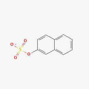 molecular formula C10H7O4S- B1231551 Naphthalen-2-yl sulfate 