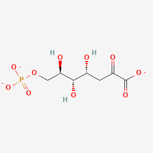 7-phospho-2-dehydro-3-deoxy-D-arabino-heptonate