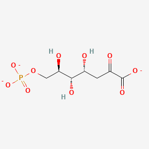 molecular formula C7H10O10P-3 B1231597 7-磷酸-2-脱氢-3-脱氧-D-阿拉伯庚酮酸 