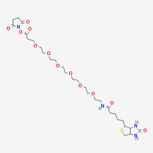 (+)-Biotin-PEG6-NHS Ester