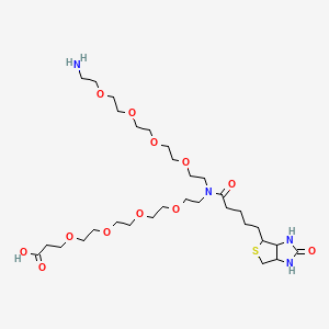 3-[2-[2-[2-[2-[2-[2-[2-[2-(2-Aminoethoxy)ethoxy]ethoxy]ethoxy]ethyl-[5-(2-oxo-1,3,3a,4,6,6a-hexahydrothieno[3,4-d]imidazol-4-yl)pentanoyl]amino]ethoxy]ethoxy]ethoxy]ethoxy]propanoic acid