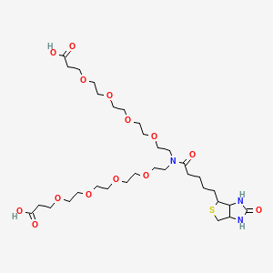 molecular formula C32H57N3O14S B12316641 3-[2-[2-[2-[2-[2-[2-[2-[2-(2-Carboxyethoxy)ethoxy]ethoxy]ethoxy]ethyl-[5-(2-oxo-1,3,3a,4,6,6a-hexahydrothieno[3,4-d]imidazol-4-yl)pentanoyl]amino]ethoxy]ethoxy]ethoxy]ethoxy]propanoic acid 