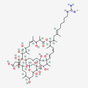 molecular formula C62H109N3O20 B1231789 Malolactomycin C CAS No. 189759-03-3