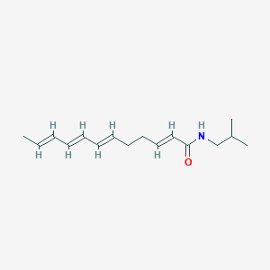 molecular formula C16H25NO B1231796 beta-Sanshool 