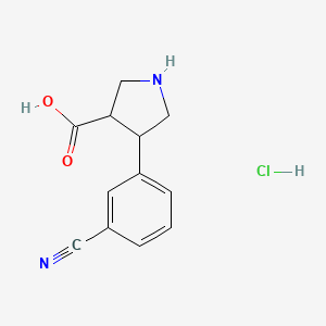 molecular formula C12H13ClN2O2 B12318845 4-(3-Cyanophenyl)pyrrolidine-3-carboxylic acid;hydrochloride 