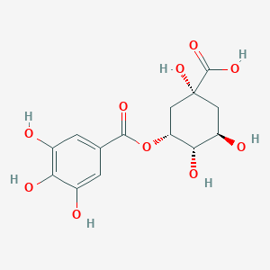 molecular formula C14H16O10 B1231948 5-没食子酰奎宁酸 CAS No. 53584-43-3