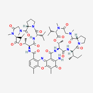 molecular formula C63H88N12O16 B1232023 Cactinomycin CAS No. 8052-16-2