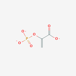 molecular formula C3H2O6P-3 B1232097 Phosphonatoenolpyruvate 