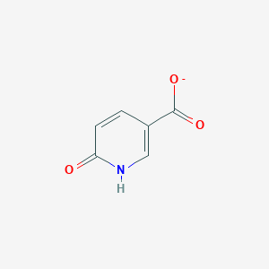 6-Hydroxynicotinate(1-)