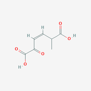 molecular formula C7H8O5 B1232183 2-Oxo-5-methyl-cis-muconate 