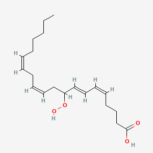 molecular formula C20H32O4 B1232194 9-HpETE 