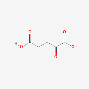 molecular formula C5H5O5- B1232216 2-Oxoglutarate(1-) 