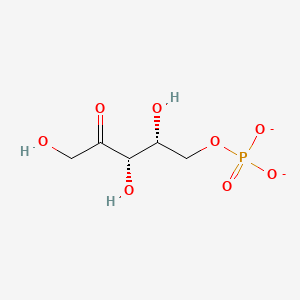 molecular formula C5H9O8P-2 B1232452 Xylulose 5-phosphate 