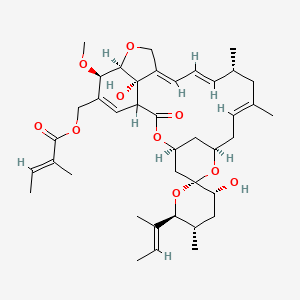 molecular formula C40H56O10 B1232474 [(3'R,4S,5'S,6S,6'S,8R,10E,13R,14E,16E,20R,21R,24S)-6'-[(E)-But-2-en-2-yl]-3',24-dihydroxy-21-methoxy-5',11,13-trimethyl-2-oxospiro[3,7,19-trioxatetracyclo[15.6.1.14,8.020,24]pentacosa-10,14,16,22-tetraene-6,2'-oxane]-22-yl]methyl (E)-2-methylbut-2-enoate CAS No. 115021-84-6