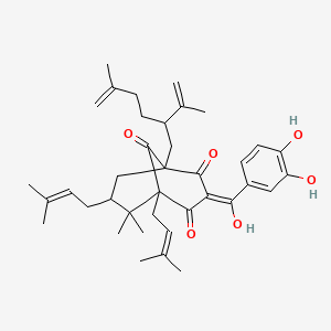 molecular formula C38H50O6 B1232506 (3Z)-3-[(3,4-dihydroxyphenyl)-hydroxymethylidene]-6,6-dimethyl-5,7-bis(3-methylbut-2-enyl)-1-(5-methyl-2-prop-1-en-2-ylhex-5-enyl)bicyclo[3.3.1]nonane-2,4,9-trione CAS No. 52617-32-0
