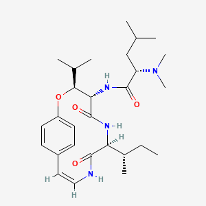 molecular formula C28H44N4O4 B1232577 Adouetine X CAS No. 19542-37-1