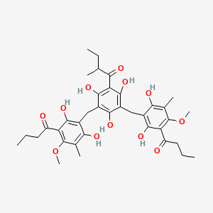 molecular formula C37H46O12 B1232584 1-[3,5-Bis[(3-butanoyl-2,6-dihydroxy-4-methoxy-5-methylphenyl)methyl]-2,4,6-trihydroxyphenyl]-2-methylbutan-1-one 