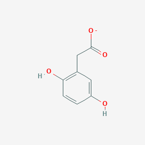 molecular formula C8H7O4- B1232598 Homogentisate 