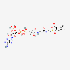 molecular formula C32H46N7O19P3S B1232599 (3R)-4-[2-[3-[[4-[[[(2R,3S,4R,5R)-5-(6-aminopurin-9-yl)-4-hydroxy-3-phosphonooxyoxolan-2-yl]methoxy-hydroxyphosphoryl]oxy-hydroxyphosphoryl]oxy-2-hydroxy-3,3-dimethylbutanoyl]amino]propanoylamino]ethylsulfanyl]-3-benzyl-4-oxobutanoic acid 