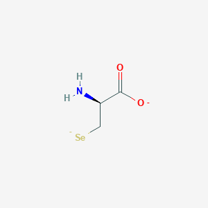 molecular formula C3H5NO2Se-2 B1232601 D-selenocysteinate(2-) 