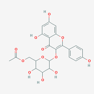 Kaempferol 3-(6-acetylgalactoside)