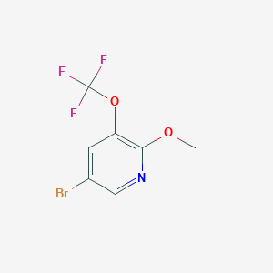 5-Bromo-2-methoxy-3-(trifluoromethoxy)pyridine