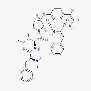 molecular formula C39H47N5O5 B1232728 Amphibine B CAS No. 38541-74-1