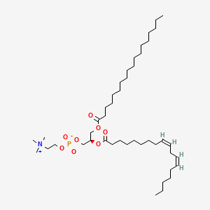 molecular formula C44H84NO8P B1232782 1-硬脂酰-2-亚油酰-sn-甘油-3-磷脂酰胆碱 CAS No. 27098-24-4