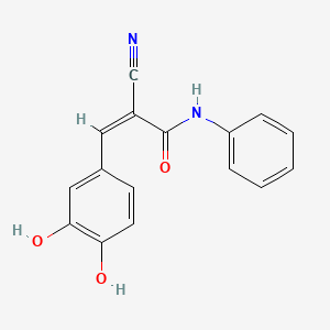 molecular formula C16H12N2O3 B1232826 (Z)-2-cyano-3-(3,4-dihydroxyphenyl)-N-phenylprop-2-enamide 