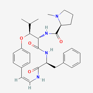 molecular formula C29H36N4O4 B1232898 Ceanothine B CAS No. 19471-43-3