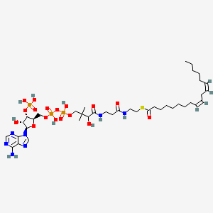 Coenzyme A, S-(9Z,12Z)-9,12-octadecadienoate