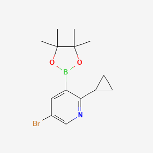 5-Bromo-2-cyclopropyl-3-(4,4,5,5-tetramethyl-1,3,2-dioxaborolan-2-yl)pyridine