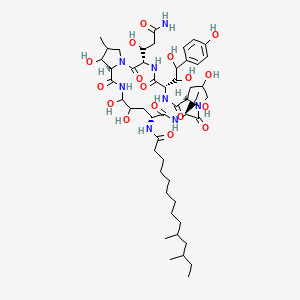 molecular formula C51H82N8O17 B1232976 N-[(3S,6S,9S,15S,18R,24S)-3-(3-Amino-1-hydroxy-3-oxopropyl)-6-[1,2-dihydroxy-2-(4-hydroxyphenyl)ethyl]-11,20,21,25-tetrahydroxy-15-(1-hydroxyethyl)-26-methyl-2,5,8,14,17,23-hexaoxo-1,4,7,13,16,22-hexazatricyclo[22.3.0.09,13]heptacosan-18-yl]-10,12-dimethyltetradecanamide 