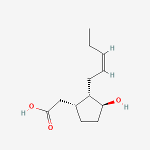 molecular formula C12H20O3 B1233011 (+)-Cucurbic acid CAS No. 58240-50-9