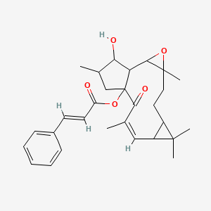 molecular formula C29H36O5 B1233147 [(10Z)-16-Hydroxy-4,8,8,11,15-pentamethyl-12-oxo-3-oxatetracyclo[11.3.0.02,4.07,9]hexadec-10-en-13-yl] (E)-3-phenylprop-2-enoate CAS No. 62820-12-6