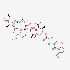 molecular formula C45H67NO13 B12331755 [(2R,4R,5S,6R)-2-[(2S,3R,4S)-3-hydroxy-4-[(2R,3S,4Z,6Z,9S,10S,11R,12Z,14E)-10-hydroxy-3,15-dimethoxy-7,9,11,13-tetramethyl-16-oxo-1-oxacyclohexadeca-4,6,12,14-tetraen-2-yl]pentan-2-yl]-2-methoxy-5-methyl-6-propan-2-yloxan-4-yl] (E)-4-[(2-hydroxy-5-oxocyclopenten-1-yl)amino]-4-oxobut-2-enoate 