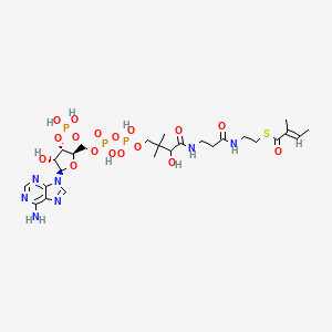 {[(2R,3S,4R,5R)-5-(6-amino-9H-purin-9-yl)-4-hydroxy-2-({[hydroxy({hydroxy[3-hydroxy-2,2-dimethyl-3-({2-[(2-{[(2E)-2-methylbut-2-enoyl]sulfanyl}ethyl)carbamoyl]ethyl}carbamoyl)propoxy]phosphoryl}oxy)phosphoryl]oxy}methyl)oxolan-3-yl]oxy}phosphonic acid