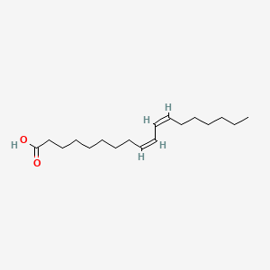 molecular formula C18H32O2 B1233190 (9Z,11Z)-9,11-Octadecadienoic acid CAS No. 544-70-7