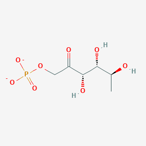 molecular formula C6H11O8P-2 B1233207 L-rhamnulose 1-phosphate(2-) 