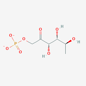 L-rhamnulose 1-phosphate(2-)