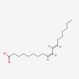 molecular formula C18H31O2- B1233208 9-cis,11-trans-Octadecadienoate 