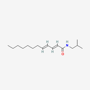 molecular formula C16H29NO B1233254 2,4-Dodecadienamide, N-(2-methylpropyl)-, (2E,4E)- CAS No. 24738-51-0