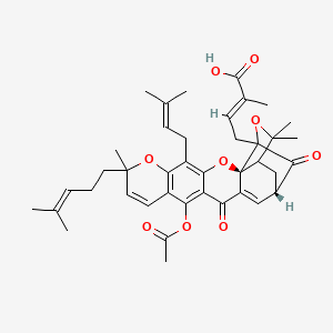 Acetyl isogambogic acid
