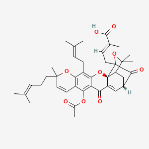 molecular formula C40H46O9 B1233273 Acetyl isogambogic acid 