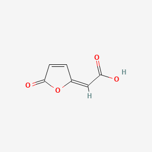 molecular formula C6H4O4 B1233293 cis-4-Carboxymethylenebut-2-en-4-olide CAS No. 3374-46-7